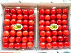 さくらんぼ(佐藤錦) さくらんぼ(佐藤錦)